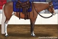 Horse Color:Silver Bay Sabino Frame 