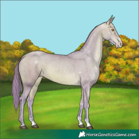 Horse Color:Platinum Watercolor Bay Pearl