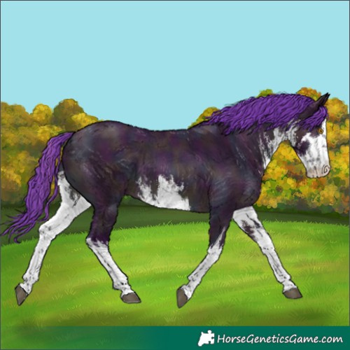 Horse Color:Watercolor White Spotted Midnight Bay Dun