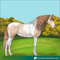 Horse Color:Smoky Black Pearl Splash Tobiano 