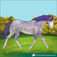 Horse Color:Platinum Watercolor White Spotted Brown Ice