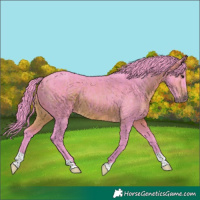 Horse Color:Watercolor Brown 