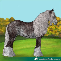 Horse Color:Chocolate Silver Smoky Black Chinchilla Ice 