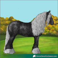 Horse Color:Silver Smoky Black Chinchilla Ice 