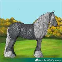Horse Color:Silver Black Chinchilla