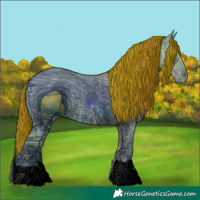 Horse Color:ERROR: UNKNOWN ANOMALY