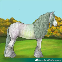 Horse Color:Watercolor Chestnut Ice