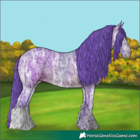 Horse Color:Watercolor Bay Ice 