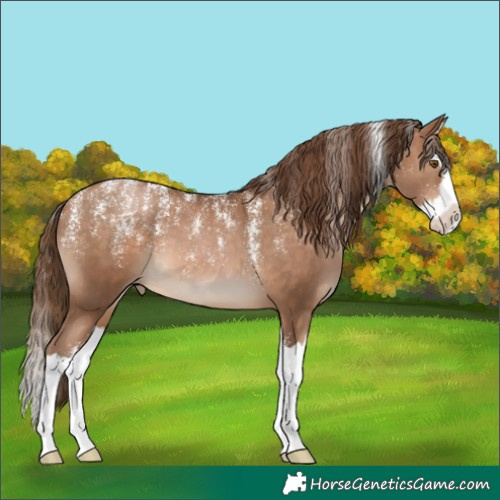 Horse Color:Powder White Brown Pearl Splash 