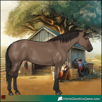 Horse Color:Liver Red Dun Rabicano