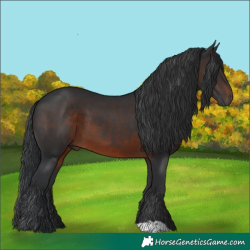 Horse Color:Brown 