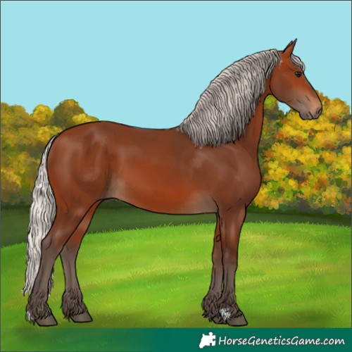 Horse Color:Silver Brown 