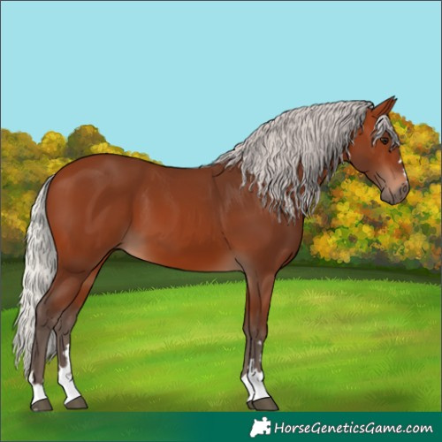 Horse Color:Silver Brown 