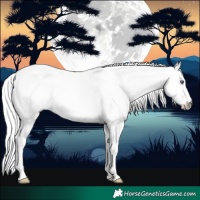 Horse Color:Liver Chestnut Chinchilla Ice Sabino 