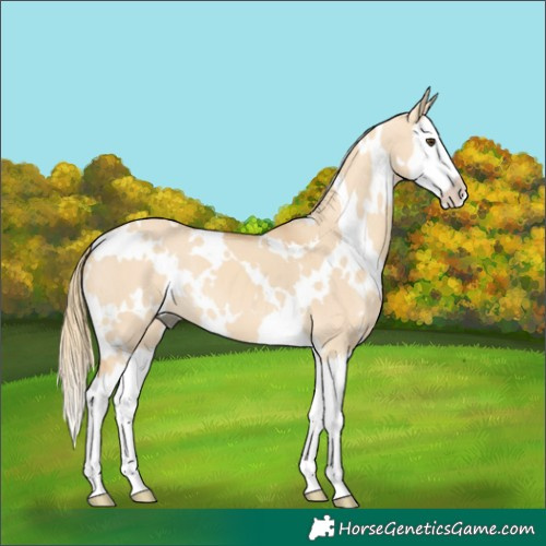 Horse Color:White Spotted Red Dun Mushroom Splash 