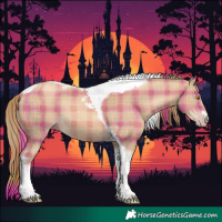 Horse Color:Plaid  Gold Champagne Tobiano Rabicano 