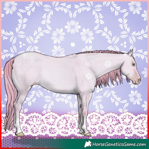 Horse Color:Watercolor Plaid  Gold Champagne Dun Tobiano Rabicano 