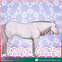 Horse Color:Watercolor Plaid  Gold Champagne Dun Tobiano Rabicano 
