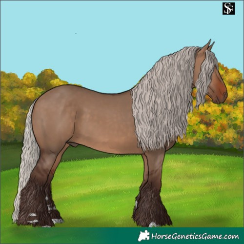 Horse Color:Silver Brown Dun 