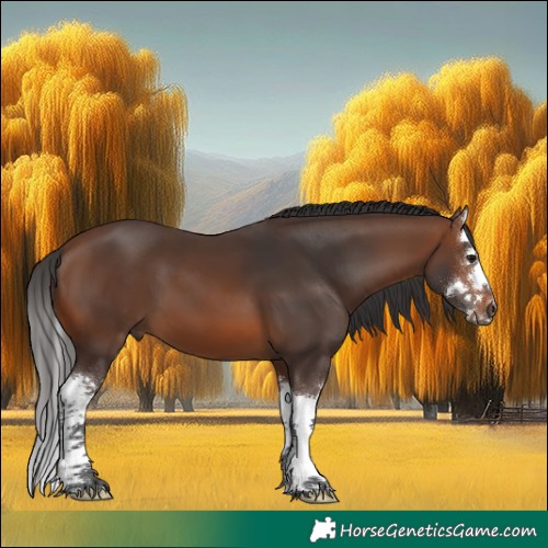 Horse Color:Brown Splash 