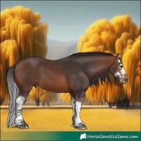 Horse Color:Brown Splash