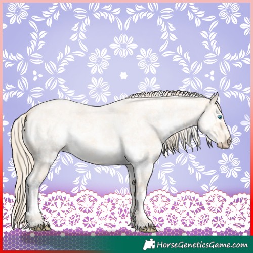Horse Color:White Spotted Perlino Roan 