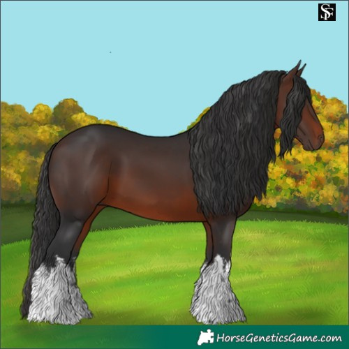 Horse Color:White Spotted Brown 