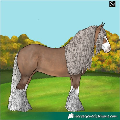 Horse Color:Silver Brown Dun Splash 