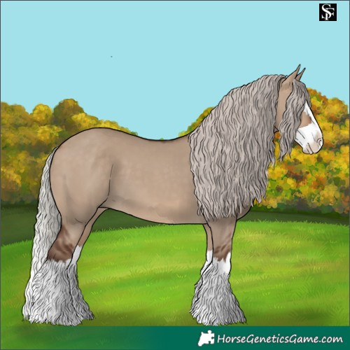 Horse Color:Silver Brown Dun Splash 