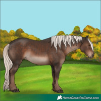 Horse Color:Liver Chestnut Mushroom 