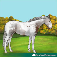 Horse Color:Liver Chestnut Mushroom Tobiano Rabicano 