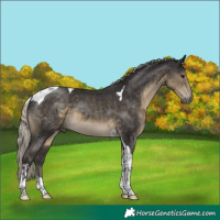 Horse Color:Silver Smoky Black Mushroom Tobiano