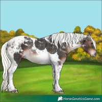 Horse Color:Liver Chestnut Mushroom Tobiano Rabicano 