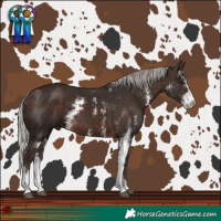 Horse Color:Silver Brown Sabino