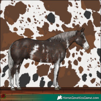 Horse Color:Silver Brown Sabino 