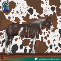 Horse Color:Silver Brown Sabino 