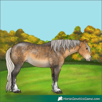 Horse Color:Silver Buckskin Sabino 