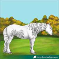 Horse Color:Silver Brown Chinchilla Ice Dun Splash Tobiano 
