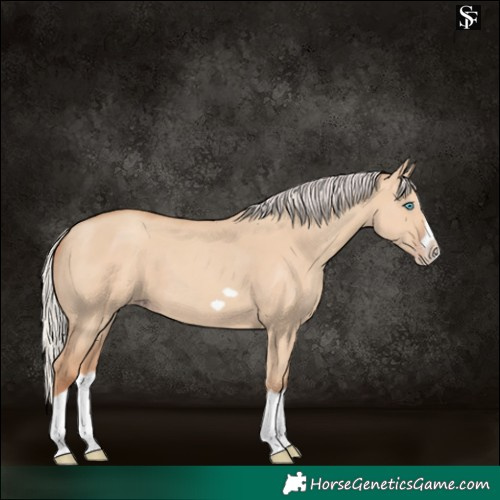 Horse Color:Silver Classic Champagne Dun Splash Frame 