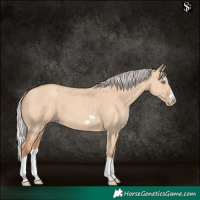 Horse Color:Silver Classic Champagne Dun Splash Frame 