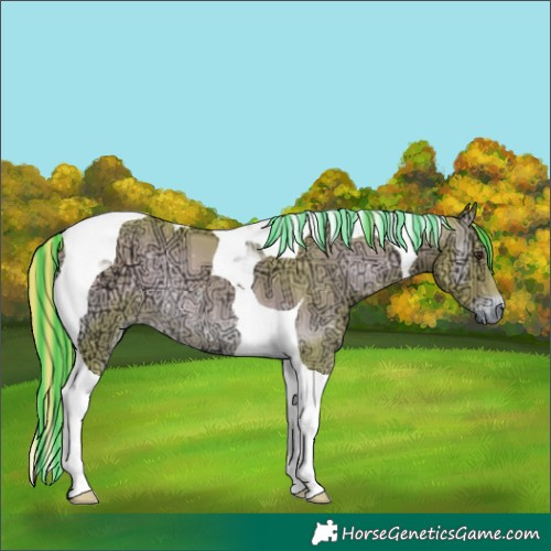Horse Color:Painted Watercolor Red Onyx Ice Tobiano 