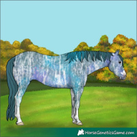 Horse Color:Watercolor Brown Ice 