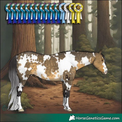 Horse Color:White Spotted Buckskin Dun 