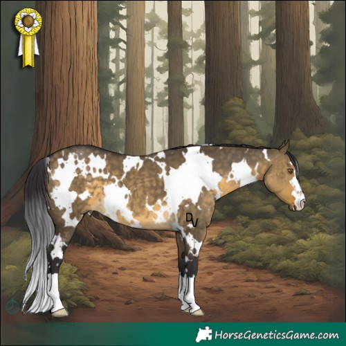 Horse Color:White Spotted Buckskin Dun 