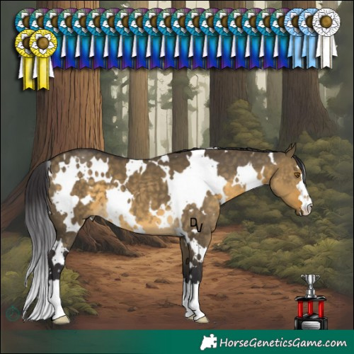 Horse Color:White Spotted Buckskin Dun 