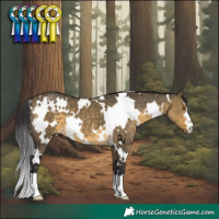 Horse Color:White Spotted Buckskin Dun 