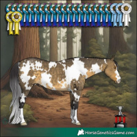 Horse Color:White Spotted Buckskin Dun 