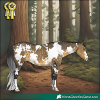 Horse Color:White Spotted Buckskin Dun