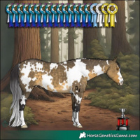 Horse Color:White Spotted Buckskin Dun 