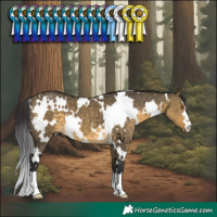 Horse Color:White Spotted Buckskin Dun 